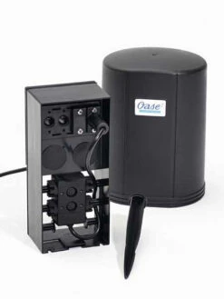 Jumping Jet - Rainbow Star (Art.Nr. X+50052) 11 Jumping Jet - Rainbow Star (Art.Nr. X+50052) -Gartenpflanzen Lieferungen 12 v master j 1280x1280