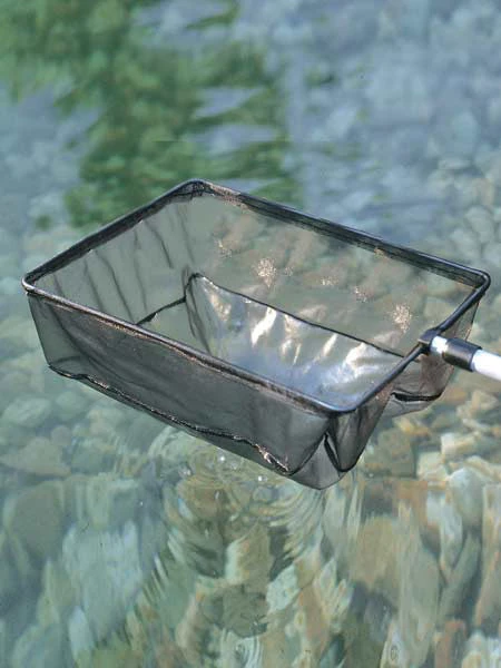 Algenkescher Gross (Art.Nr. 36297) 1 Algenkescher Gross (Art.Nr. 36297)