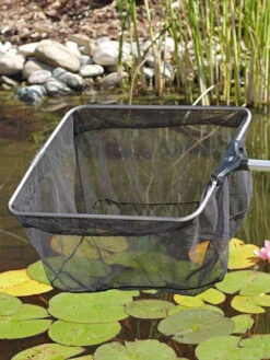 Profi Teichkescher Von OASE (Art.Nr. 50078)