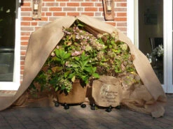 Vlies-Thermomantel, Uni Beige (Art.Nr. Vi36002) 11 Vlies-Thermomantel, Uni Beige (Art.Nr. Vi36002) -Gartenpflanzen Lieferungen Wintervlies Thermomantel 5 1280x1280