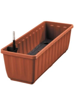 Zuckerblatt, Süßkraut, Süßblatt, Stevia Rebaudiana 8 Zuckerblatt, Süßkraut, Süßblatt, Stevia Rebaudiana -Gartenpflanzen Lieferungen aquaflor tera 78960 4 1280x1280