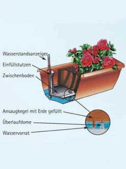 Blumenkasten Aqua Toscana 6 Blumenkasten Aqua Toscana -Gartenpflanzen Lieferungen aquatoscana detail 77392 1 77398 1 1280x1280