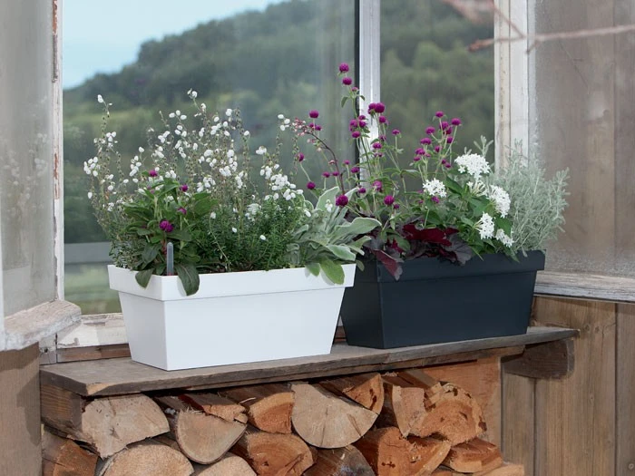 Blumenkasten Cube Case 2 Blumenkasten Cube Case – Bild 2