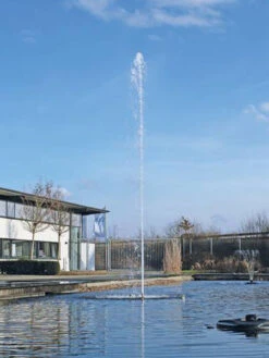 Cluster 15 - 38 Von OASE (Art.Nr. 45480) 7 Cluster 15 - 38 Von OASE (Art.Nr. 45480) -Gartenpflanzen Lieferungen cluster 15 38 3 1280x1280