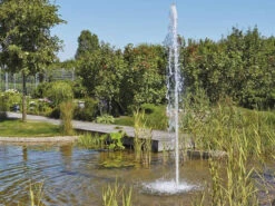 Cluster 15 - 38 Von OASE (Art.Nr. 45480) 6 Cluster 15 - 38 Von OASE (Art.Nr. 45480) -Gartenpflanzen Lieferungen cluster 15 38 4 1280x1280