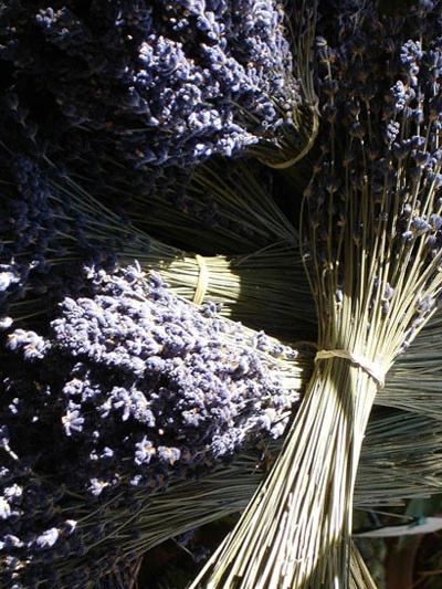 Duftkräutersortiment 1 Duftkräutersortiment