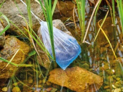 AquaActiv DuoBoost Von OASE 8 AquaActiv DuoBoost Von OASE -Gartenpflanzen Lieferungen duoboost6 1280x1280