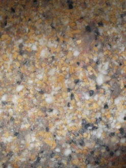 Bachlauf-Set ''Ems'' (Art.Nr. 30119) 7 Bachlauf-Set ''Ems'' (Art.Nr. 30119) -Gartenpflanzen Lieferungen ems material 81131 3 1280x1280