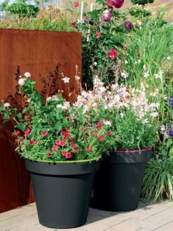 Pflanzkübel E&K Bicolor 5 Pflanzkübel E&K Bicolor -Gartenpflanzen Lieferungen eundk bicolor rund57fc9f0e47970 1280x1280