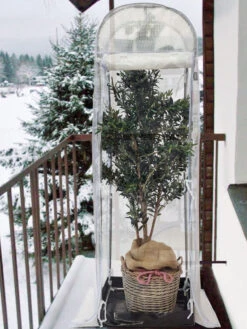 Frost-Schutzhaus SNOW (Art.Nr. V29933) 13 Frost-Schutzhaus SNOW (Art.Nr. V29933) -Gartenpflanzen Lieferungen frost schutzhaus balkon 1280x1280