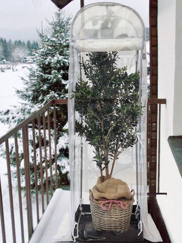 Frost-Schutzhaus SNOW (Art.Nr. V29933) 7 Frost-Schutzhaus SNOW (Art.Nr. V29933) – Bild 7