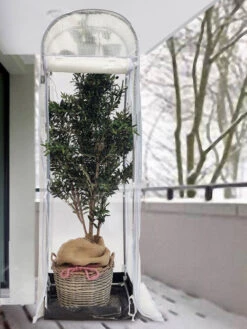 Frost-Schutzhaus SNOW (Art.Nr. V29933) 10 Frost-Schutzhaus SNOW (Art.Nr. V29933) -Gartenpflanzen Lieferungen frost schutzhaus winter 1280x1280