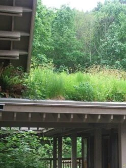 Gründach-Paket Für 15 Qm Dachfläche 5 Gründach-Paket Für 15 Qm Dachfläche -Gartenpflanzen Lieferungen gruendachpaket carport 1280x1280