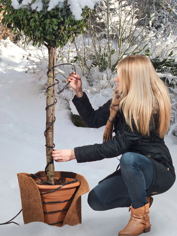 Frostschutz-Heizkabel Für Kübelpflanzen 3 Frostschutz-Heizkabel Für Kübelpflanzen – Bild 3