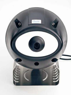 Jumping Jet - Rainbow Star (Art.Nr. X+50052) 10 Jumping Jet - Rainbow Star (Art.Nr. X+50052) -Gartenpflanzen Lieferungen jumping jet j 1280x1280