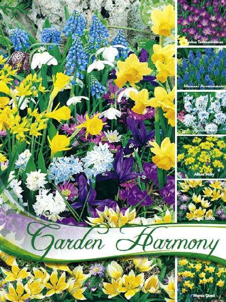 Kollektion Blumenzwiebeln Zum Verwildern (Art.Nr. 598200) 1 Kollektion Blumenzwiebeln Zum Verwildern (Art.Nr. 598200)