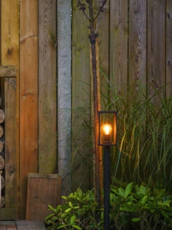 Gartenleuchte 'Limosa' Von Garden-Lights -Gartenpflanzen Lieferungen limosa 2 1280x1280