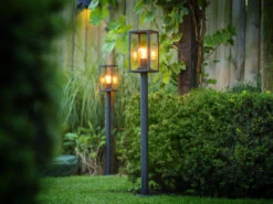 Gartenleuchte 'Limosa' Von Garden-Lights -Gartenpflanzen Lieferungen limosa 6 1280x1280