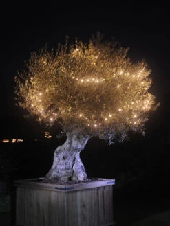 Lichterkette 'Linea' Von Garden-Lights (Art.Nr. 7510012)