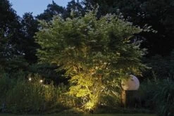 LunAqua Power LED Set 3 Von OASE (Art.Nr.42634) -Gartenpflanzen Lieferungen lunaqua power led 956d5417c19c41 1280x1280