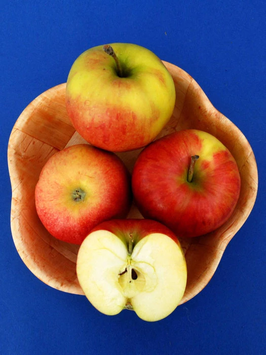 Apfel Jonagold 2 Apfel Jonagold – Bild 2