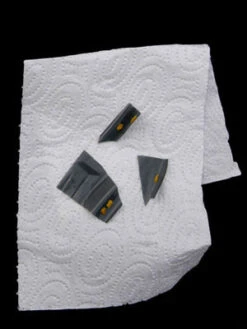 7-Punkt-Marienkäfer (Art.Nr. KB2016) -Gartenpflanzen Lieferungen marienkaefer eier 80491 2 1280x1280