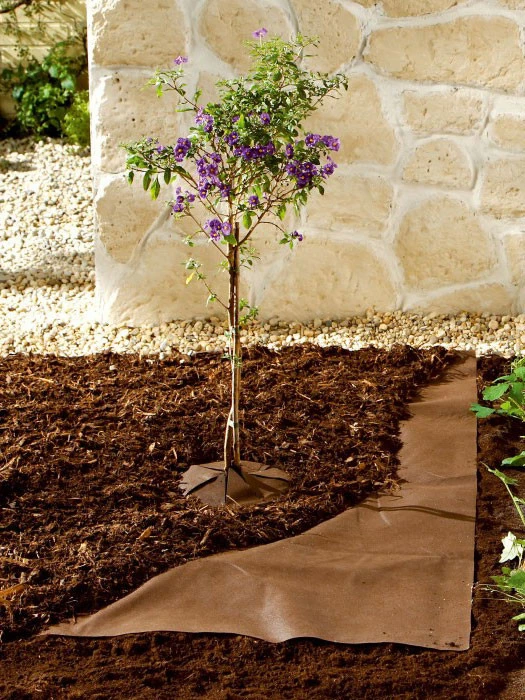 Bio-Mulchvlies Aus Neutralem Vliesmaterial 1 Bio-Mulchvlies Aus Neutralem Vliesmaterial