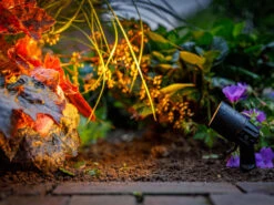 Garten-Spotstrahler 'Neso' Von Garden-Lights (Art.Nr. 2606061) -Gartenpflanzen Lieferungen neso 3 1280x1280