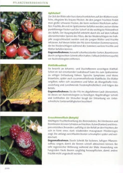 BdB-Handbuch ''Obstgehölze'' -Gartenpflanzen Lieferungen obstgehoelze 3 1280x1280