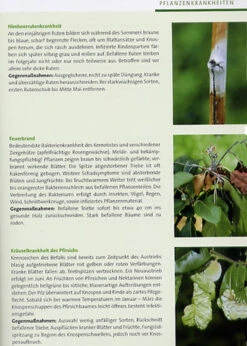 BdB-Handbuch ''Obstgehölze'' -Gartenpflanzen Lieferungen obstgehoelze 4 1280x1280