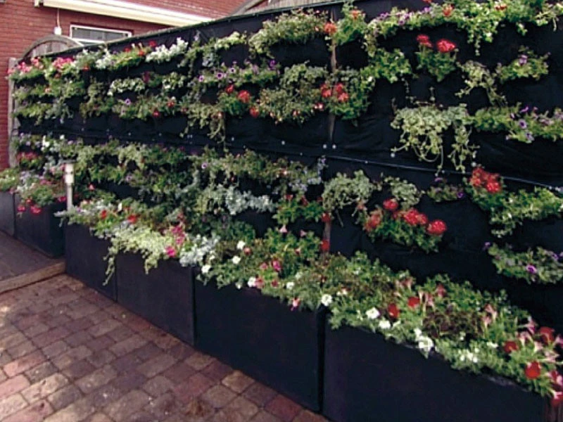 Overgrowing Mat Von Velda (Art.Nr.Vel127590) 3 Overgrowing Mat Von Velda (Art.Nr.Vel127590) – Bild 3