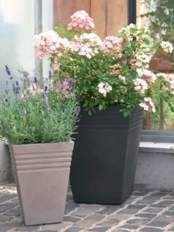 Pflanzkübel Moderno -Gartenpflanzen Lieferungen pflanzkuebel moderno bepfla 1280x1280