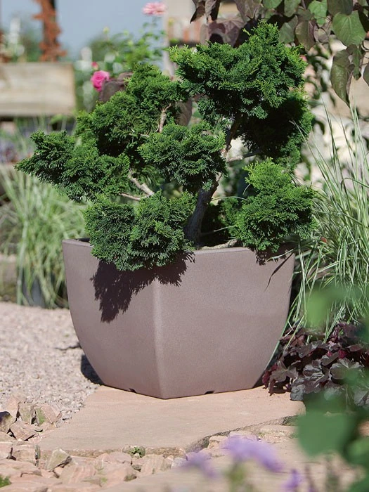 Pflanztopf Ravenna 3 Pflanztopf Ravenna – Bild 3