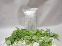 PhytoAmbly-Mix - Raubmilben-Mischung (Art.Nr. KB2038) -Gartenpflanzen Lieferungen phyto ambly mix 1280x1280