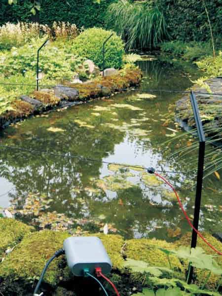 Pond Protector Von Velda (Art.Nr.Vel128020) 1 Pond Protector Von Velda (Art.Nr.Vel128020)