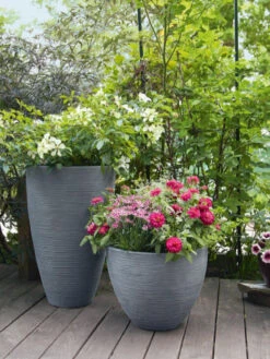 Pflanzkübel Rund Rillentopf -Gartenpflanzen Lieferungen rillentopf rund bepflanzt 1280x1280