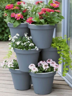 3er Säulentopf E&K 5 3er Säulentopf E&K -Gartenpflanzen Lieferungen saeulentopf e k bepflanzt 1280x1280