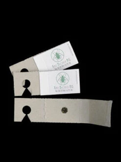 Schlupfwespe (Art.Nr. KB3056) -Gartenpflanzen Lieferungen schlupfwespe versand verpac 80549 2 1280x1280