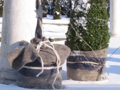 Winterschutz Schafwollmatte Aus Reiner Schafwolle -Gartenpflanzen Lieferungen steingrau schafswollmatte 1280x1280