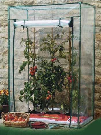 Tomatengewächshaus (Art.-Nr.569212) 1 Tomatengewächshaus (Art.-Nr.569212)