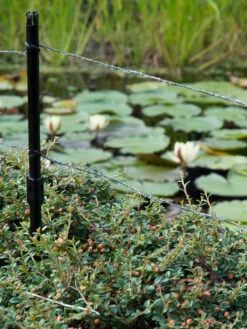 Ultra Protector Von Velda (Art.Nr.Vel128026) -Gartenpflanzen Lieferungen ultraprotector 2 1280x1280