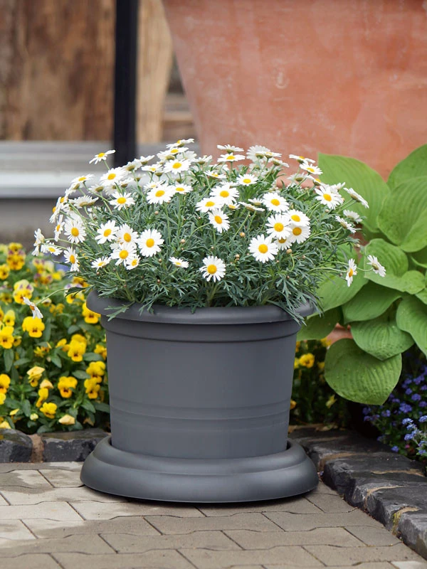 Untersetzer Mit Rollen 3 Untersetzer Mit Rollen – Bild 3