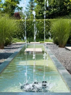 Water Quintet Von OASE (Art.Nr. 50187) 7 Water Quintet Von OASE (Art.Nr. 50187) -Gartenpflanzen Lieferungen water trio quintet 4 1280x1280