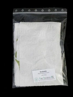 Phytoseiulus-Raubmilbe (Art.Nr. KB4480) -Gartenpflanzen Lieferungen zipbeutel versand raubmilbe 80537 2 1280x1280