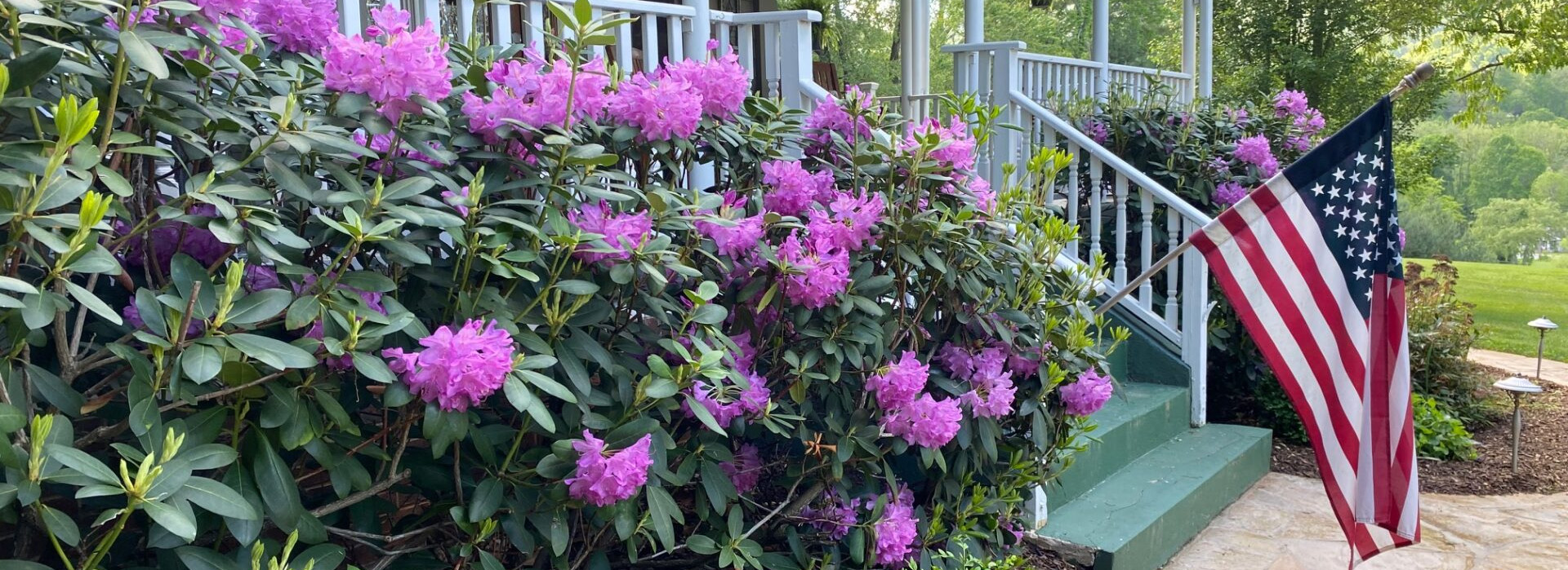 Gartenpflanzen Lieferungen 4 Gartenpflanzen Lieferungen -Gartenpflanzen Lieferungen 2